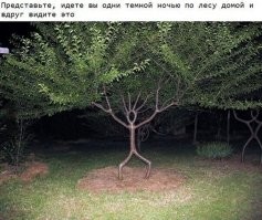 Наутро я туда вернусь и построю из кирпичей домик!