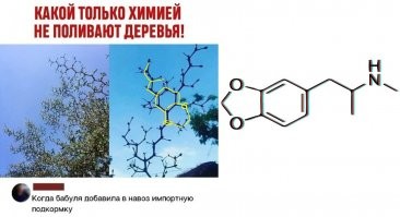 Да внук к бабушке приезжал, из кармашка выпало "что-то" (на фото формула мдма)) вот. 
И как говориться: "Чем удобряли то и выросло". ))