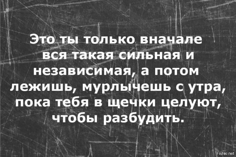 Солянка от 06.11.2021