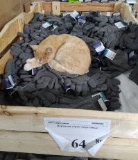 Самая шерстяная работа в мире))