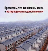 Автопилот всё равно доведёт до дома