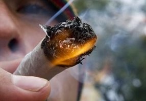 30 фактов, от которых мурашки по коже