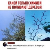 Пользователи отжигают: убойные комментарии из соцсетей