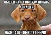 абсолютли. соседи сверху гуляли, когда в четыре утра начали плясать - рамсить пошел. через час моя тож поднимаецца - я во главе стола и шары уже в кучу