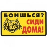 Я из реалистов. Зимой на улицах практически нет самокатчиков. Но есть ноющие и их жизнь полна опасностей.
