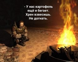 Новый мировой рекорд: картофель весом 7,9 кг