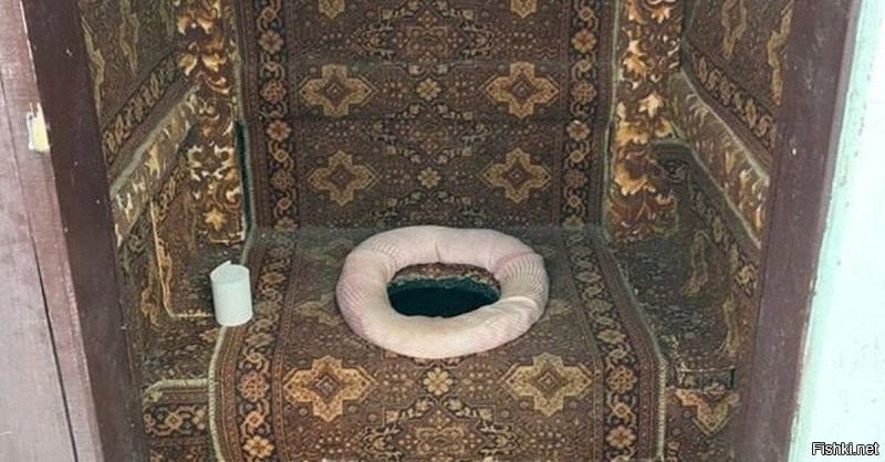 ковёрнизм