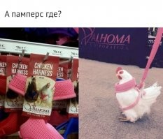 Памперсы не обещаю, но...
