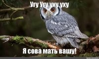 Смешные комментарии из&nbsp;социальных сетей - 15