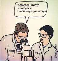 Пенсионерку задержали на Красной площади за антиковидный плакат
