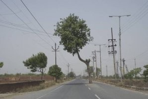 Абсурд современного мира. Показательная борьба за что-то маленькое и полный пофигизм на глобальные проблемы. Конечно важнее бороться за одно дерево, а не прекратить у себя дома менять паркет и мебель раз в 3-5 лет.