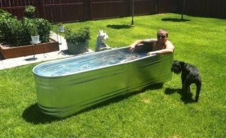 Веселые картинки для хорошего настроения