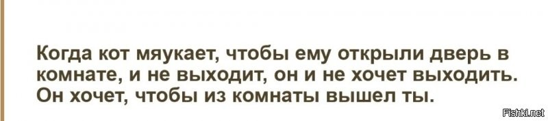Солянка от 08.11.2021
