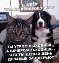 А ведь это действительно так. По крайней мере с котами - они и правда думают, что хозяин во время отлучки стоит за дверью и потом, вечером, заходит обратно.
А еще я читал, что собаки, когда хозяин уходит, всегда считают, что он ушел на всегда и больше не вернется. Поэтому они так радуются по его возвращении. Не очень правдоподобно, я считаю...