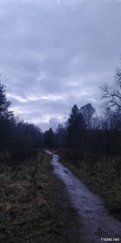 и в лес..