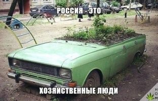 Под капотом, видимо, грибы выращивают.