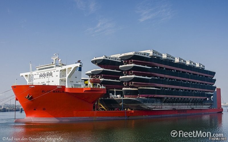 Голубой какой то.Blue Marlin Is A Gigantic Ship That Can Carry Up To 22 Other Ships