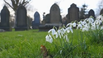 Определение цинизма:

Высадить на могилку спортсмена подснежники и закурить