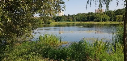 Как изменится парк Покровское-Стрешнево?