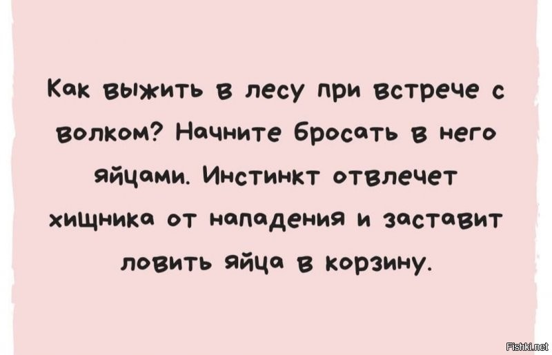 Солянка от 08.11.2021