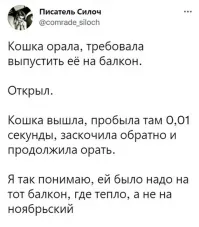 Вот про такого кота Хайнлайн книжку написал, "Дверь в лето" называется.