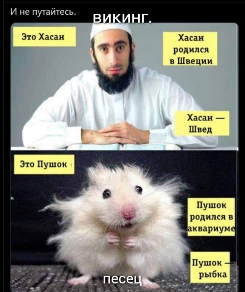 Дневное политическое обозрение с нотками сарказма и сатиры на этот час. Выпуск 23