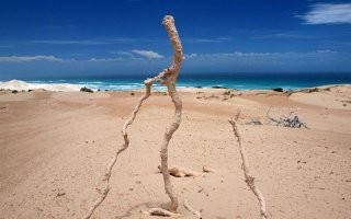 Фульгурит - спекшийся от удара молнии песок.