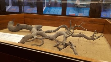 Фульгурит - спекшийся от удара молнии песок.