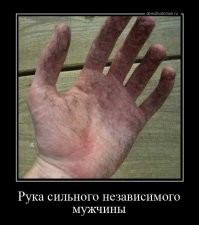 Нас не заманишь сиськой мясистой, мы тоже готовить умеем! Нам голяшку для бульена и шею для жаркого подавай. Вымя только в рубленные котлеты годится, а пельмень их с селедкой походу.