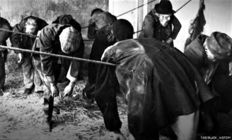 Гостиница за 2 пенса.