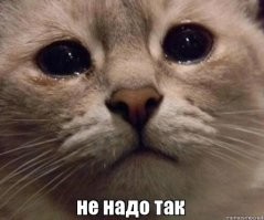 А у вас картинки двигаются?