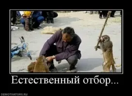 И вот опять: два смуглых гостя схлестнулись в поединке, в вагоне столичного метро