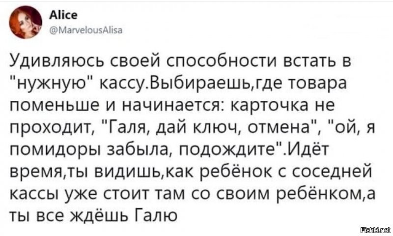 Солянка от 09.11.2021