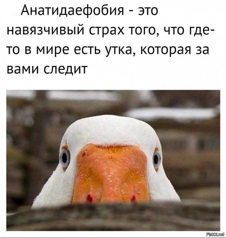 Солянка от 09.11.2021