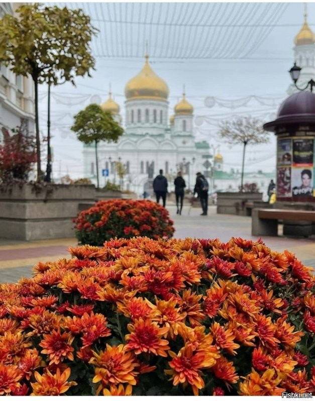 Ростов-на-Дону