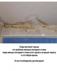 Нижегородец установил шашлычную с бассейном на крыше дома