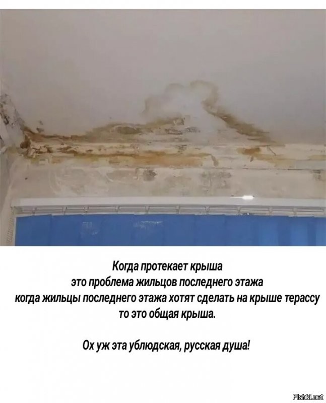 Нижегородец установил шашлычную с бассейном на крыше дома