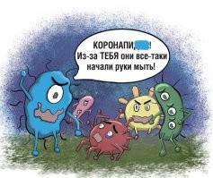 «Правило пяти секунд» с едой – правда или выдумки голодных?