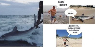 Чёта мэр Киева вспомнился.