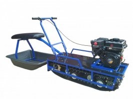 В 1965 году канадцы изобрели мотособаку?