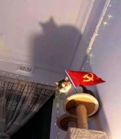 Так вот ты какой, Бетмен