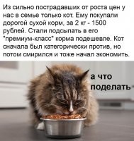 Ветеринар дороже будет.