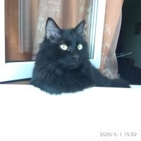 Какое чудо! Мы примерно на такое же объявление клюнули, вонА что выросло