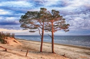 Ну летом очень даже неплохой вид. А на Яграх(район города) при желании и купаться можно. Пройдя с километр мелководья до глубины хотя бы по пояс)
Ну летом очень даже неплохой вид. А на Яграх(район города) при желании и купаться можно. Пройдя с километр мелководья до глубины хотя бы по пояс)