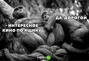 это еще не плохо, хуже, если начинают что-то говорить не относящееся к фильму прямо во время фильма