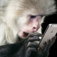 Система самонаведения: в Ярославле автомобилистка на полной скорости влетела в столб