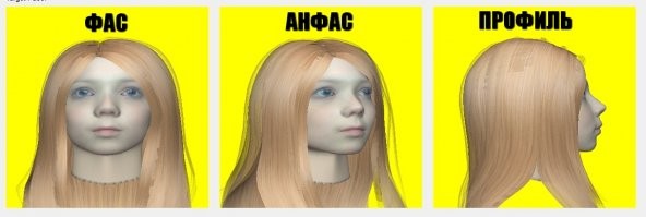 Мне тоже кажется что фас - спереди, анфас сзади.