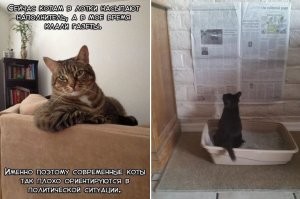 Всё не так безнадёжно