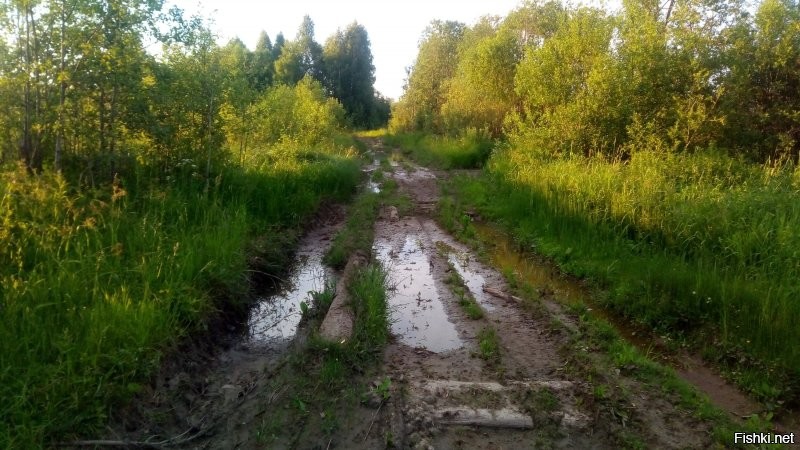 Был там в 18 году, к сожалению терем был закрыт. Дорога сложная ,но проходимая