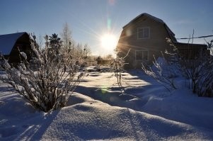 Уход за садом в ноябре: что важно успеть сделать?